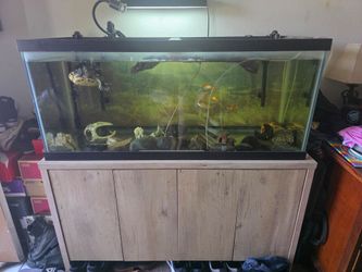 Aquarium with stand