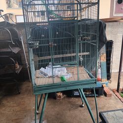 Big Bird Cage