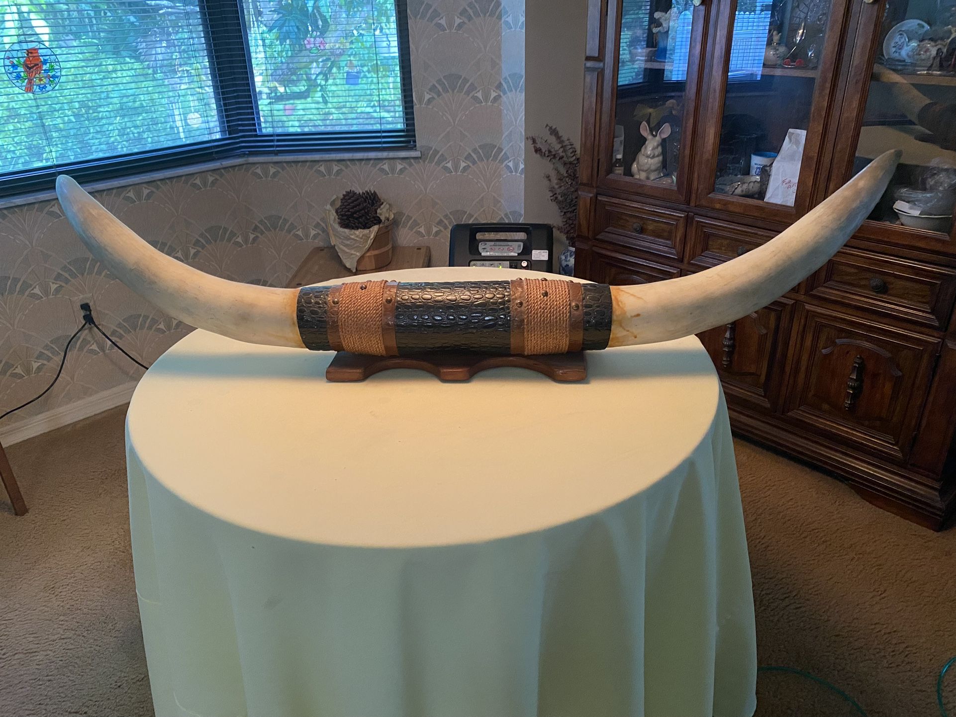 Texas Longhorn