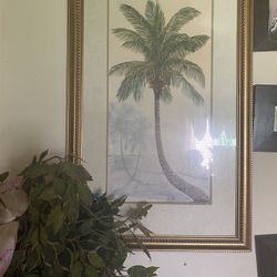 Tropical Tree Picture 