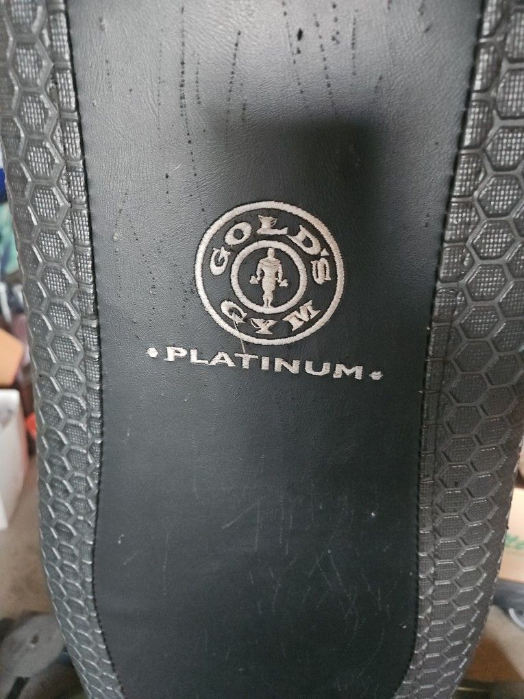 Gold Gyms ... Great Condition