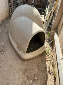 Igloo