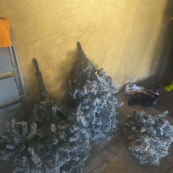 Christmas Tree with lights