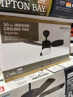 Triplicity 30 in. Indoor LED Matte Black Ceiling Fan with Light