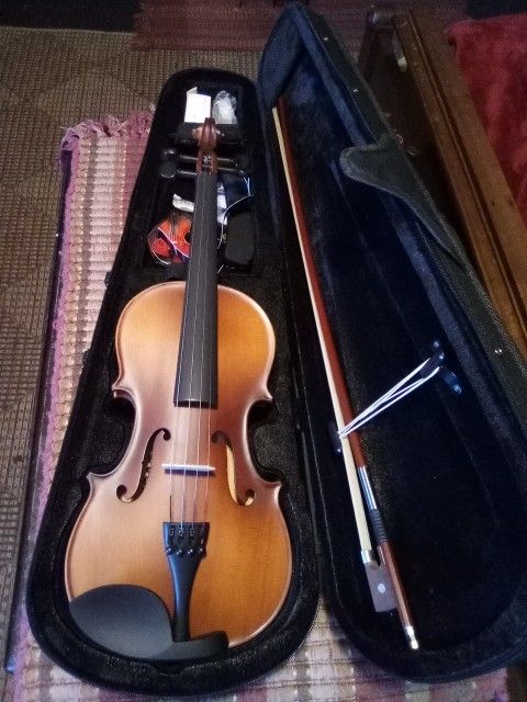 Vevor Violin