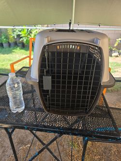 Pet Travel Carrier Crate