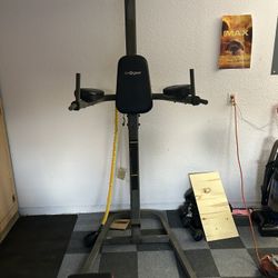 Dip / Pull-up Machine