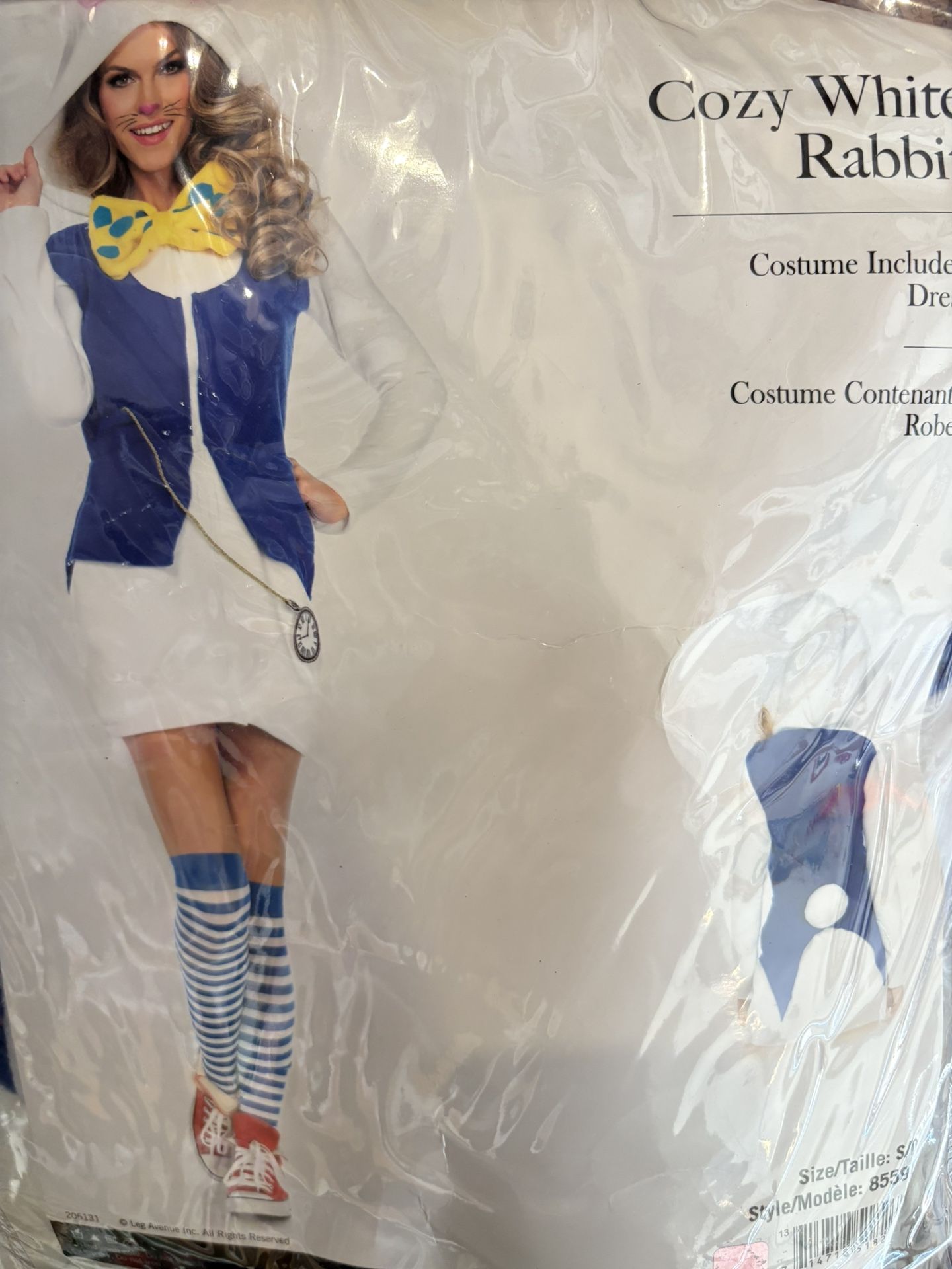 Family 4 Alice In Wonderland Costumes