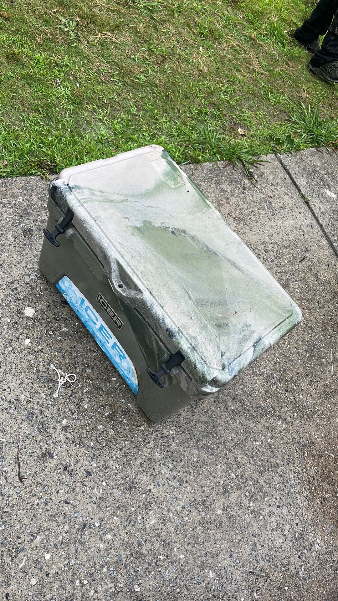 An assortment of Coolers