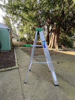 Ladder aluminum 4ft