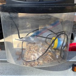 2.5 Gallon Aquarium with lid and gravel