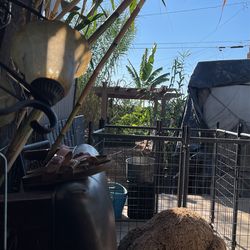 Amazing 7by7 Pergola 