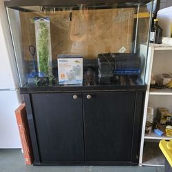 Fish Tank 