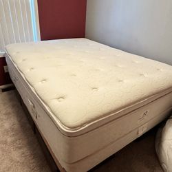 Queen Size Mattress And Box Spring On Pedestal With 6 Drawers