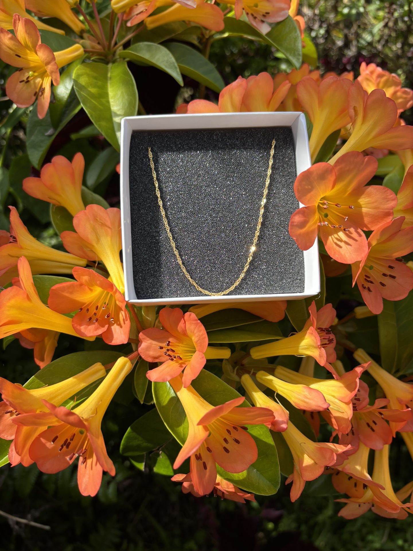 Gold Necklace Twist Chain