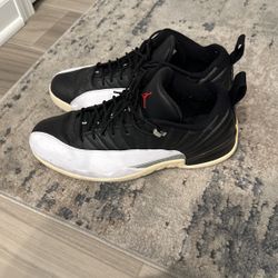 Jordan 12 Size 15