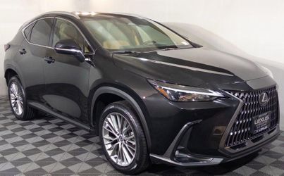 2025 Lexus NX 350h