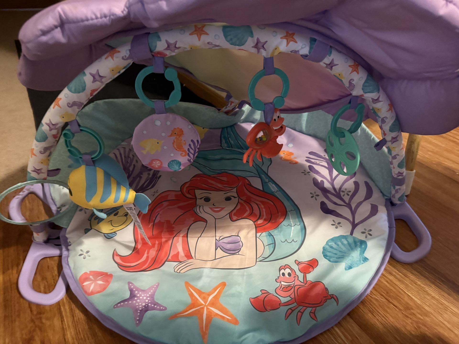 Little Mermaid Play Mat