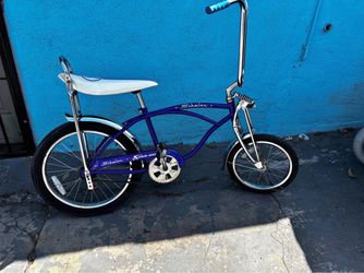 Schwiin bicycle