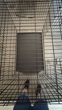 Extra Large 48-Inch Metal Dog Kennel / Crate (48x29x31)