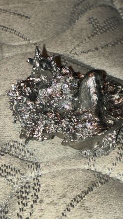 Bird in nest melt weigh is about quarter pound