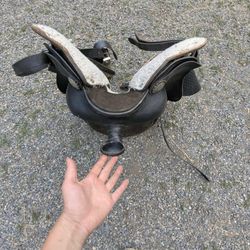 Horse Saddle 