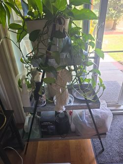 Plant stand