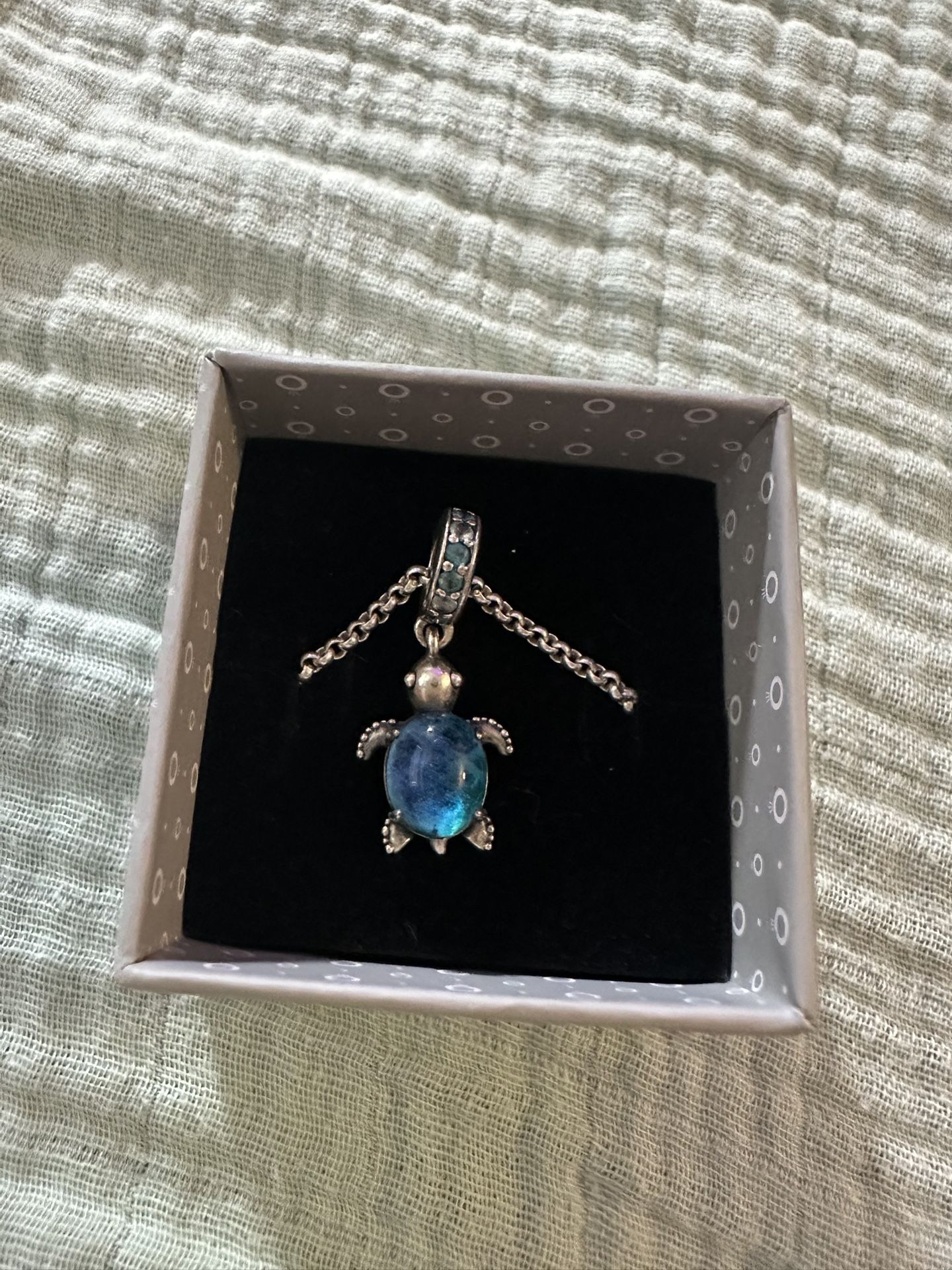 Pandora Charm & Necklace