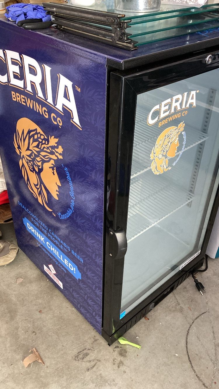Mini Fridge