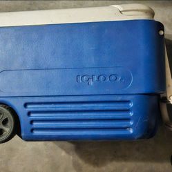 Igloo Cooler 