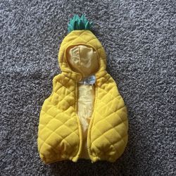 Pineapple Costume 