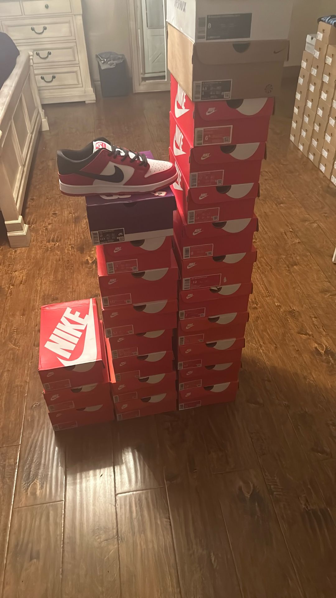 NIKE DUNKS
