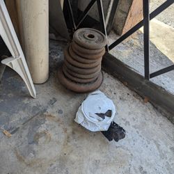 Weight plates And Dumbbell Bars 