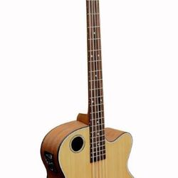 Boulder Creek 5 string fretless Acoustic/Electric Bass Guitar 