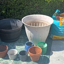 Plants Stuff