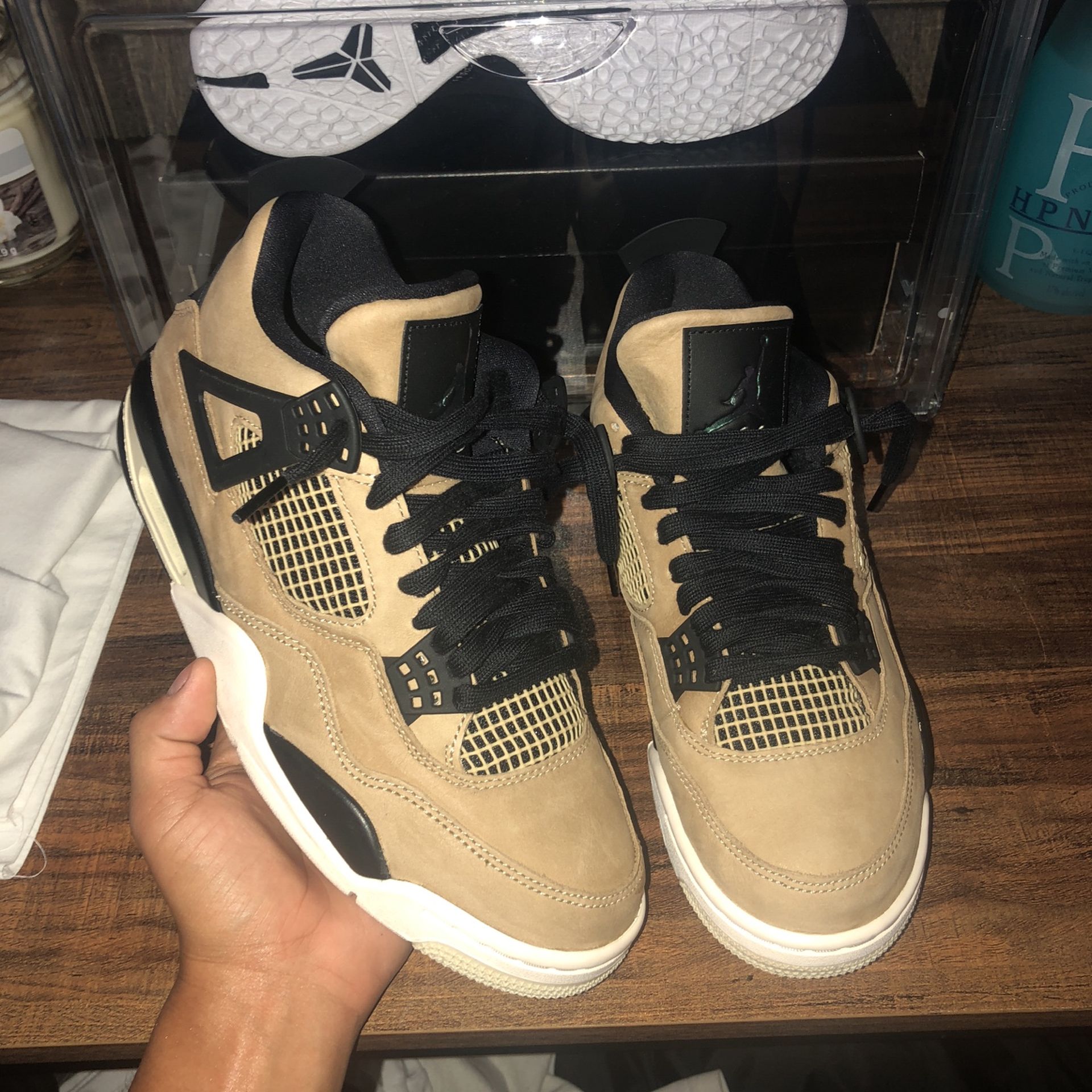 Jordan Fossil/ Mushroom