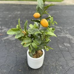 Artificial Lemon Tree 