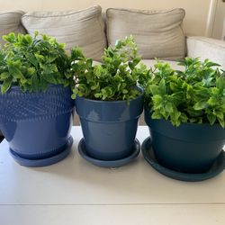 Three Big Blue Fake Plants 