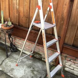 Little Giant Flip N Lite ladder
