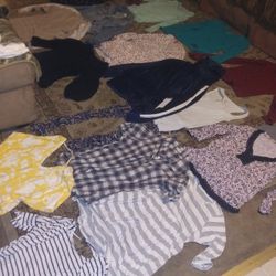 Ladies Size Medium Shirt Lot.everything Shown For $25