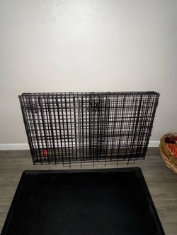 dog crate