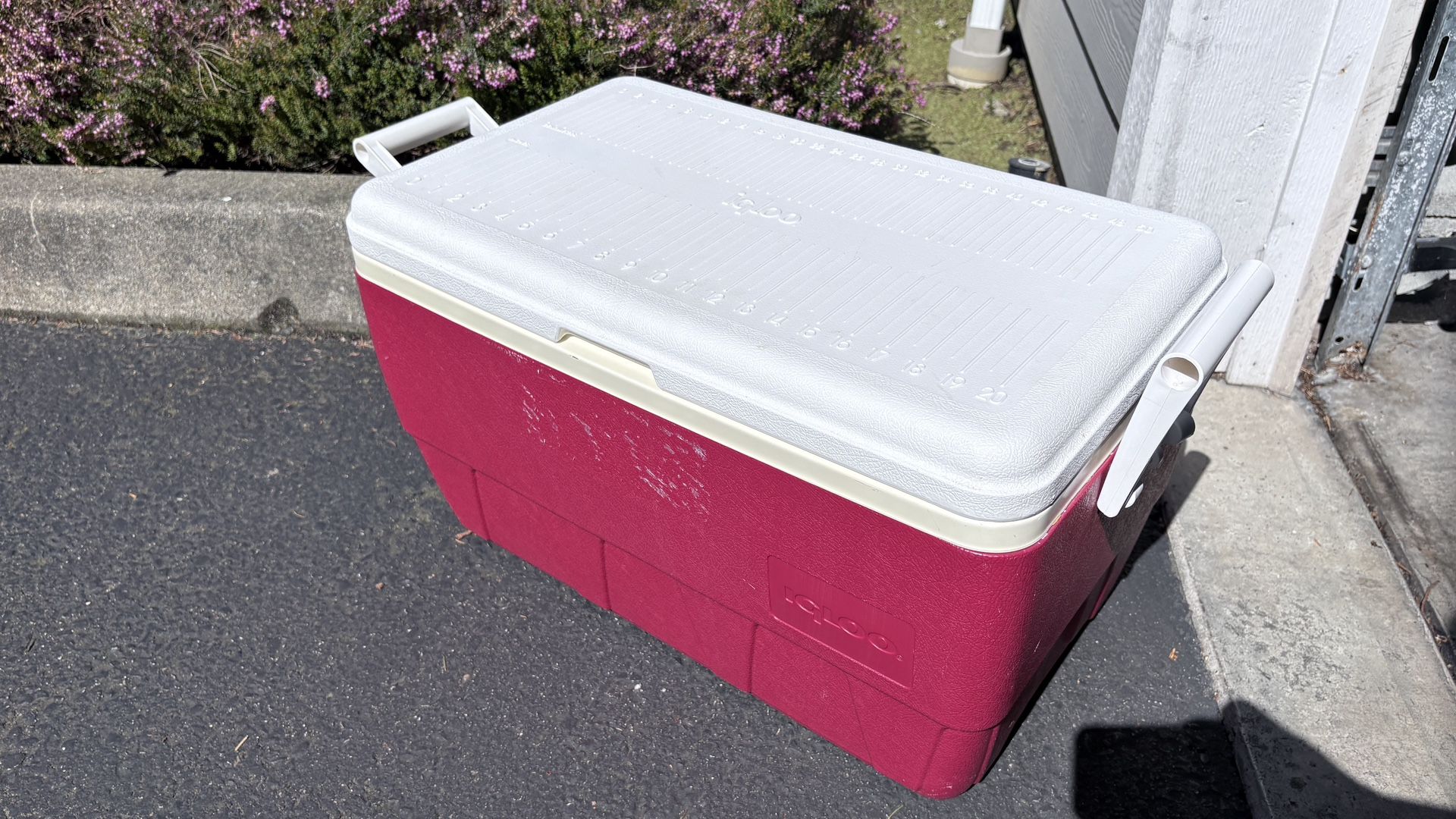 large cooler
