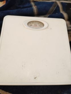 Scale