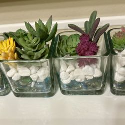 (Set of 4) Artificial Succulents Plants in Square Clear Glass Pots