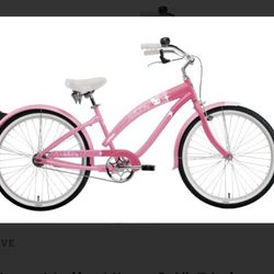 Collectible Beach Cruiser 