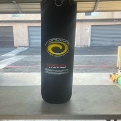 Century Hydrocore Heavy Bag