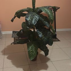 Fake Plant