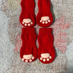 Puppy 🐶 Paw 🐾 Socks 🧦