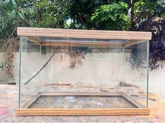 12 gallon fish tank