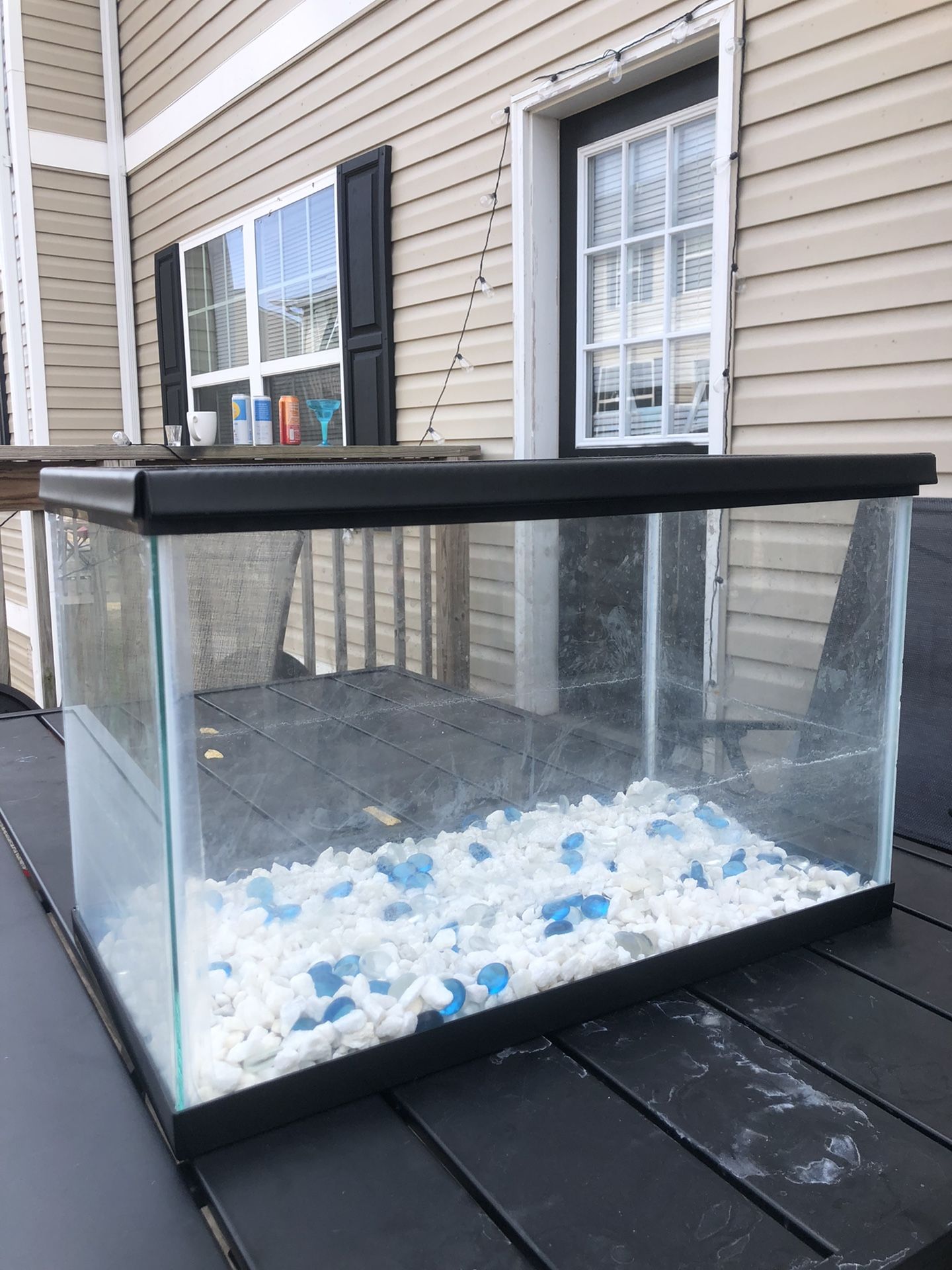 Fish Tank 